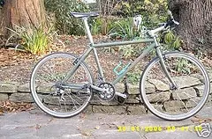 Stumpjumper.webp