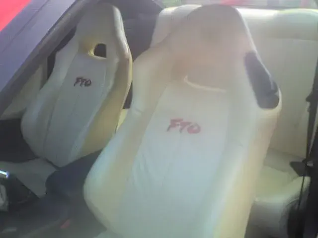 FTO 004.webp