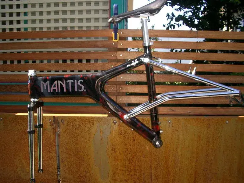 mantis_flyingv.webp