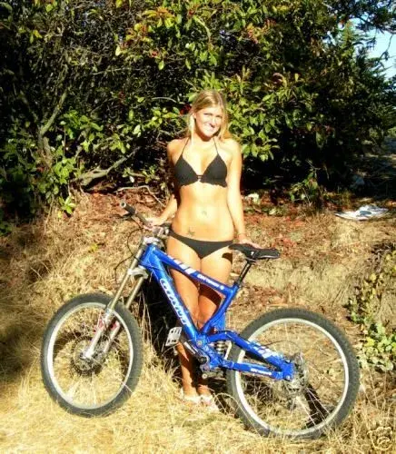 5081_12[1].webp