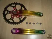 rasta.webp