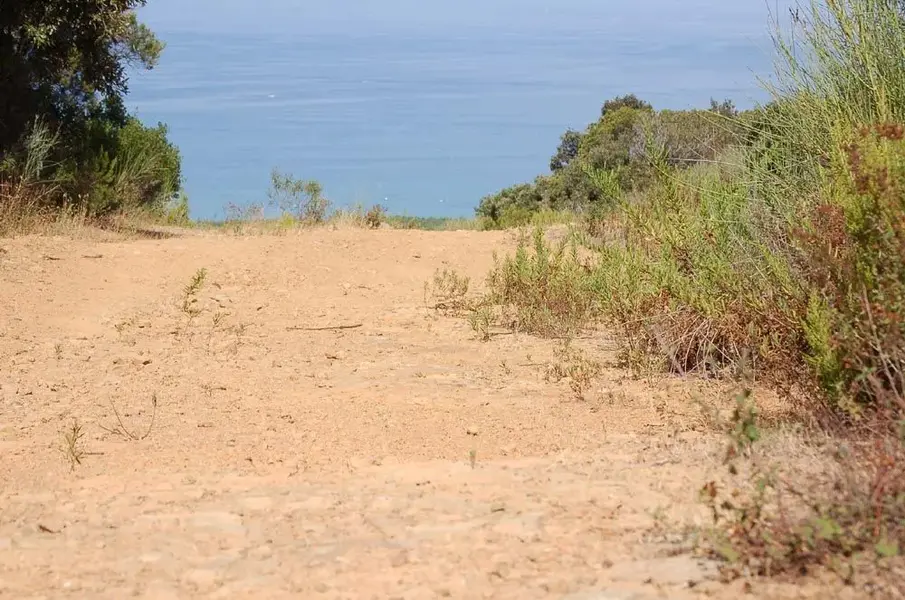 bikeparadise52.webp