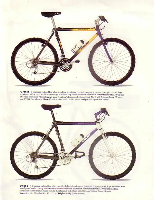 CADEX19910004.webp