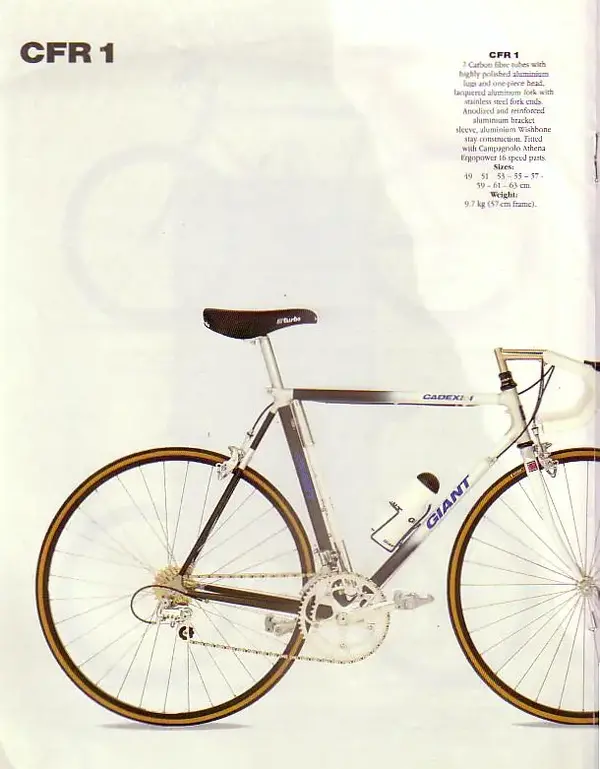 CADEX19910007.webp