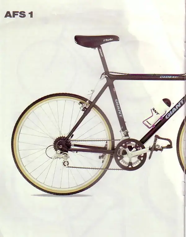 CADEX19910010.webp
