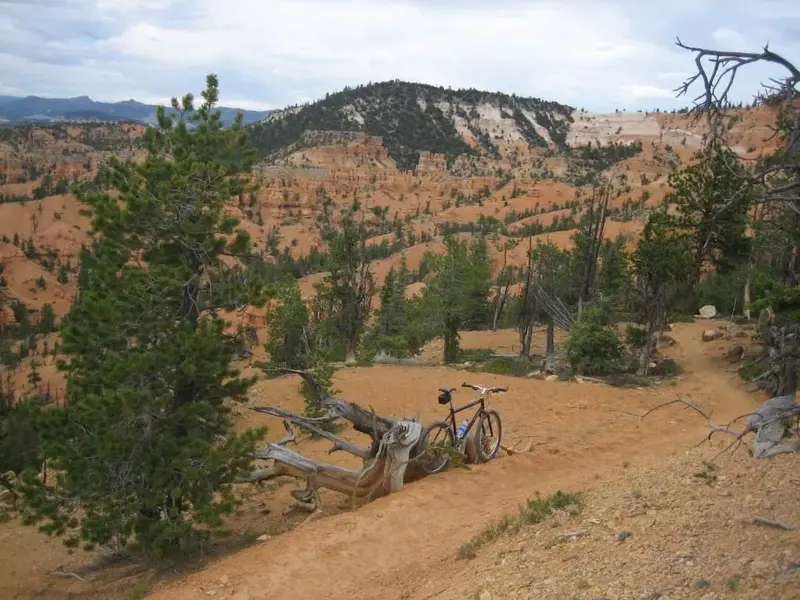 Carsten's Red Canyon, Utah.webp