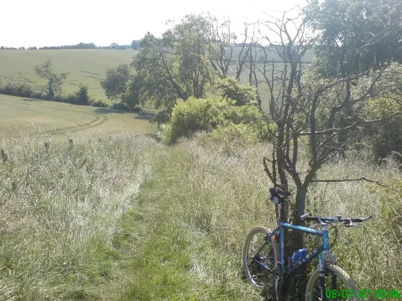 Madcowkev's Backyard Ride.webp