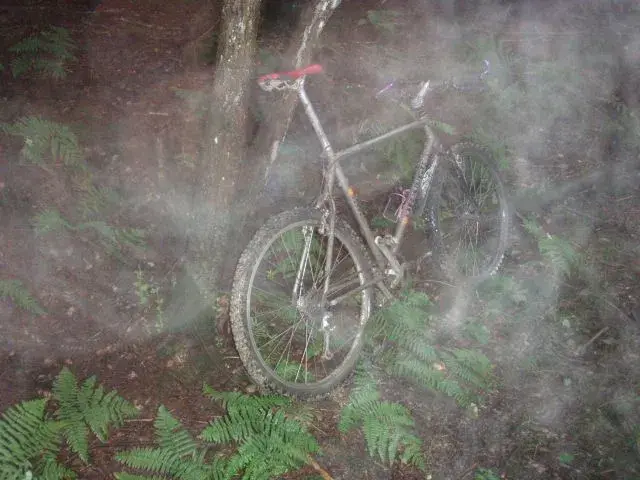 Ededwards' Misty Mountain Hop.webp