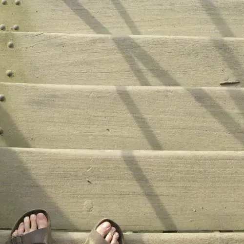 Feet.webp