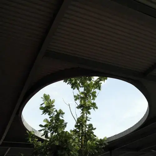 Sky.webp