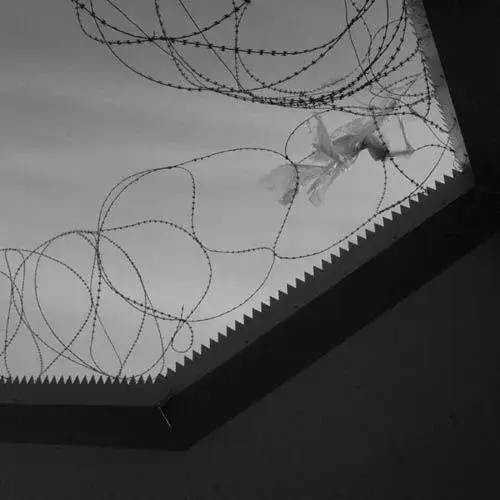 Wire.webp