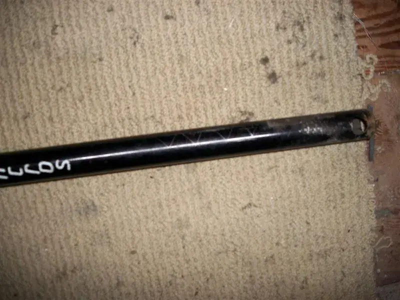 Picture 076 (Medium).webp