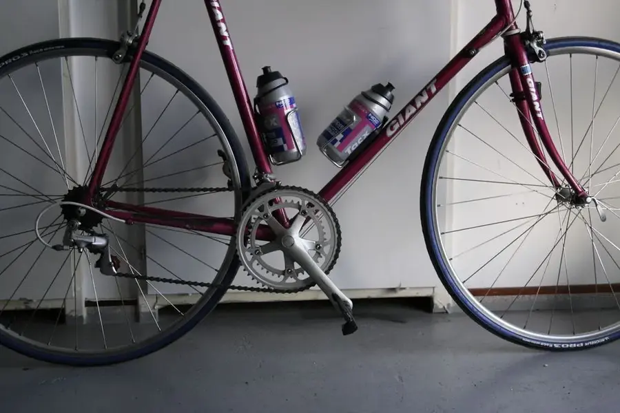 bike 021b.webp