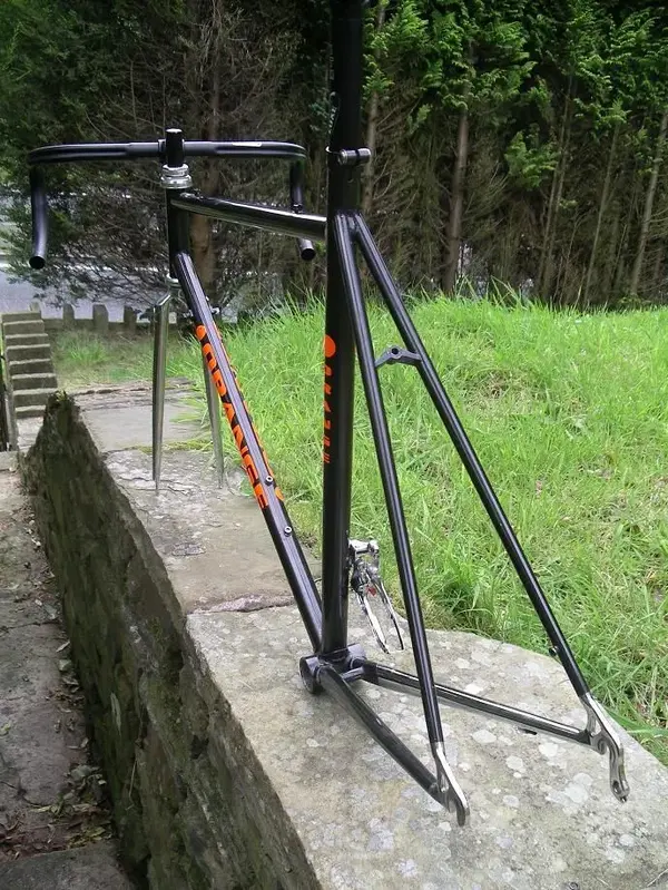 Orange Dynamo Rear.webp