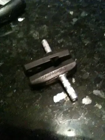 campag (Small).webp