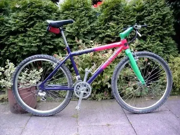 Attitude Storck.webp