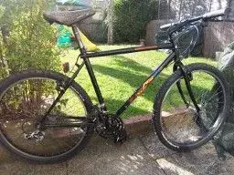saracen ltd edition.webp