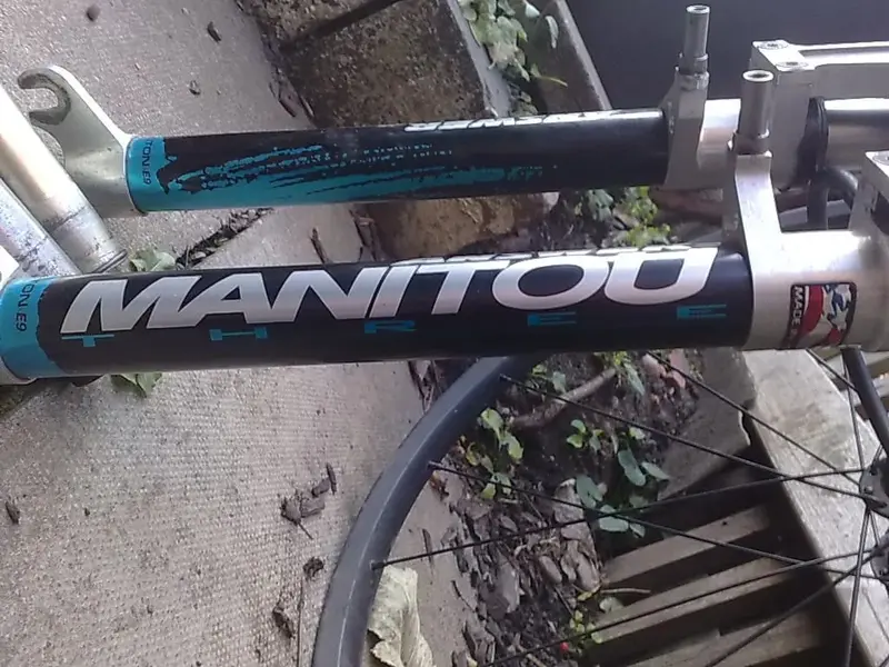 manies 002.webp