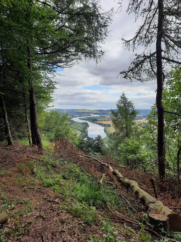 20210801_131500[1].jpg