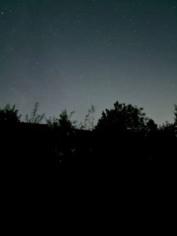 PXL_20210813_001152319.NIGHT.webp