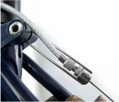 surly.webp