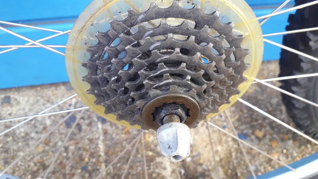 wheels7.webp