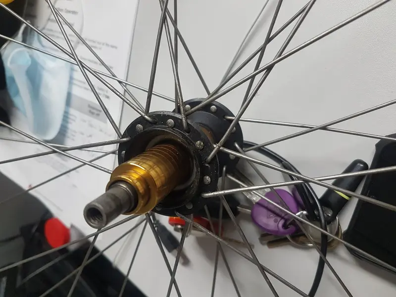 Rear Hub.webp