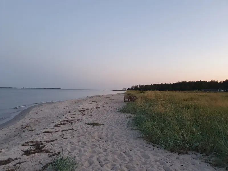 20210901_203449.webp