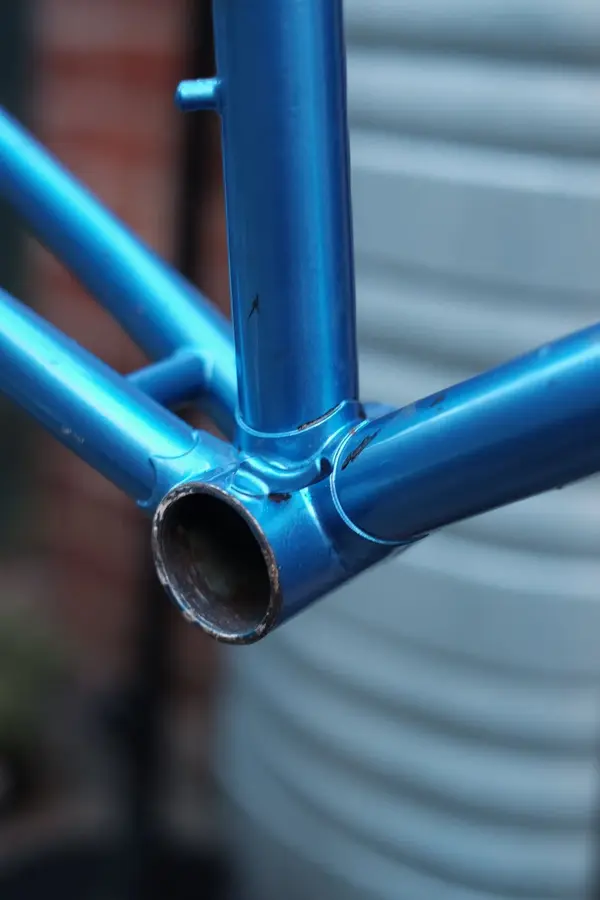 DSCF9737.webp