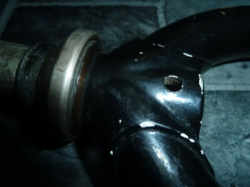 1630757126329.webp
