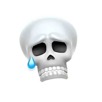 1631045300216.webp