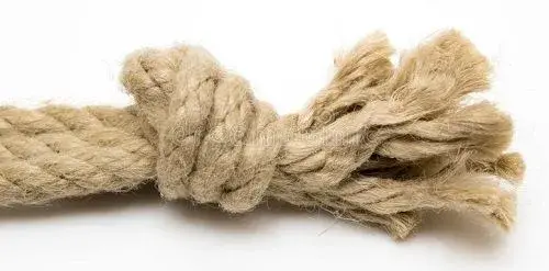 I'm a Frayed Knot.webp
