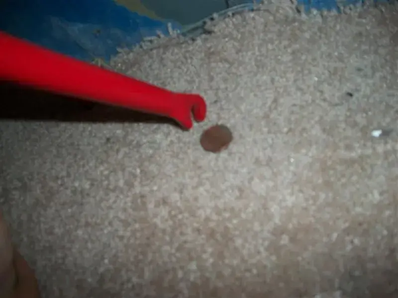 Picture 132 (Medium).webp