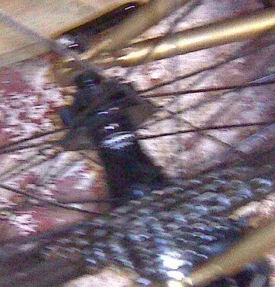 Image025.webp