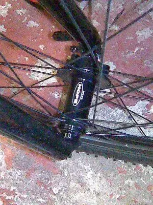 Image018.webp
