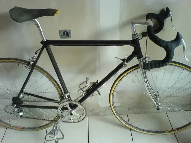 small pic bike.webp