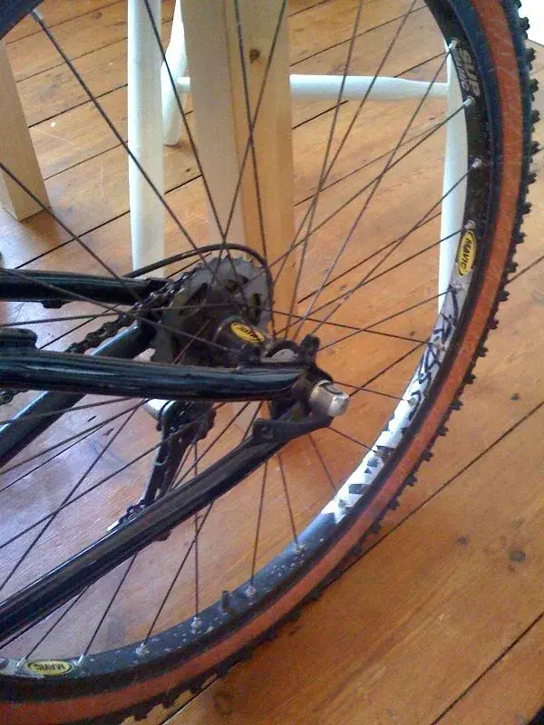 rear mavic.webp