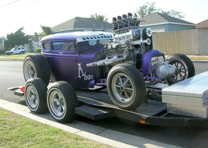 purple.webp