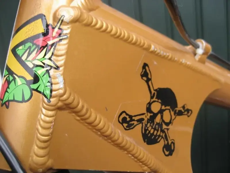 bike 024.webp
