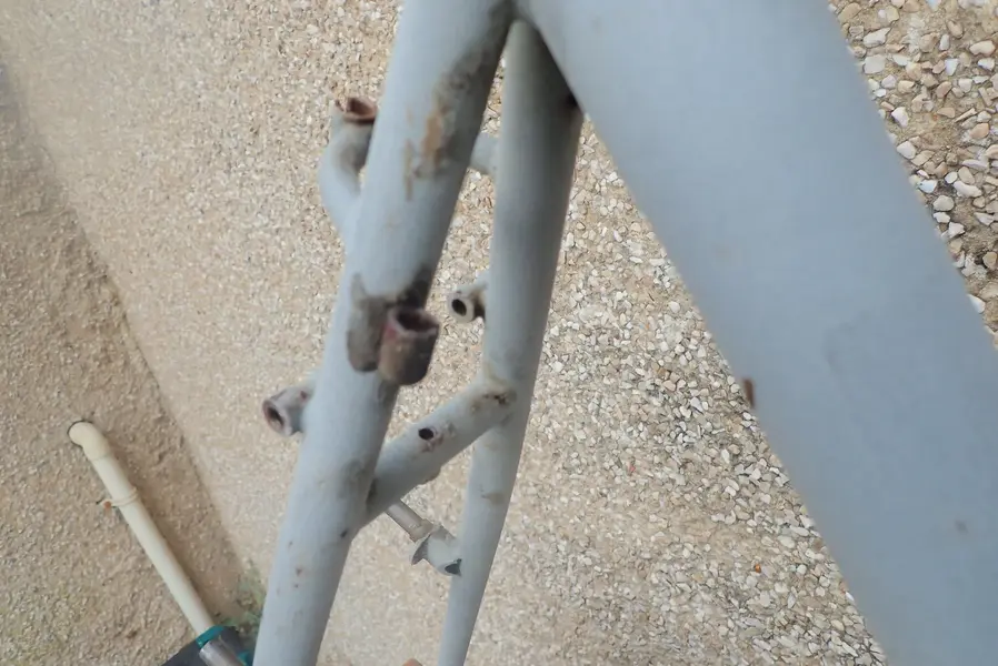 P9184102.webp