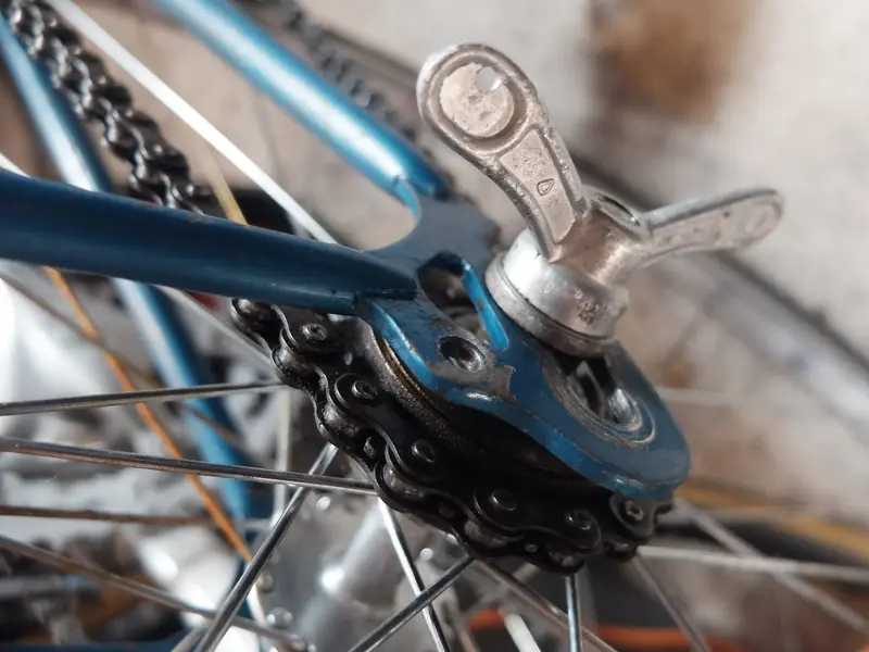 DSCF5522.webp