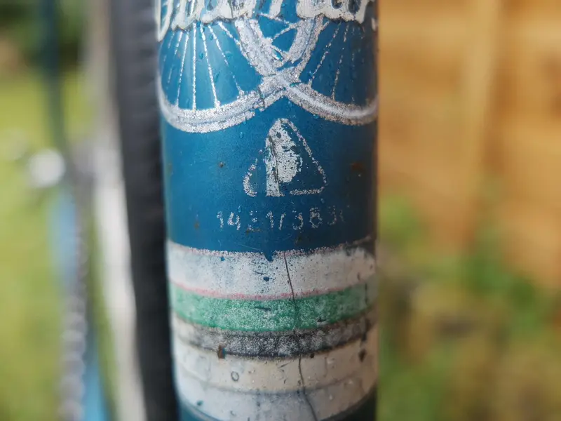 DSCF5531.webp