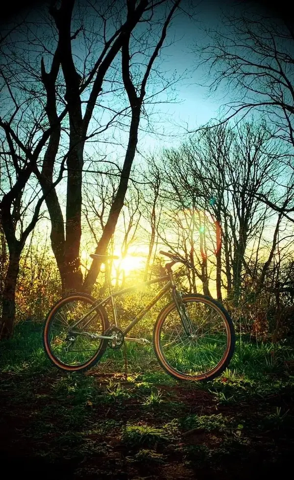 F646CC7C-BF47-483C-A1ED-569C873B252D.webp