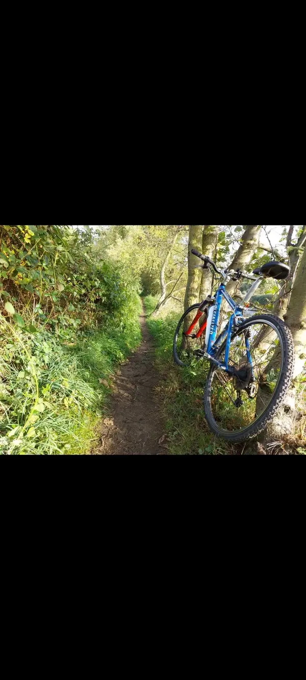 Screenshot_20211011-195100_Gallery.webp