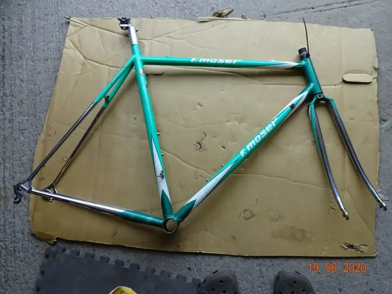 moser (1).webp