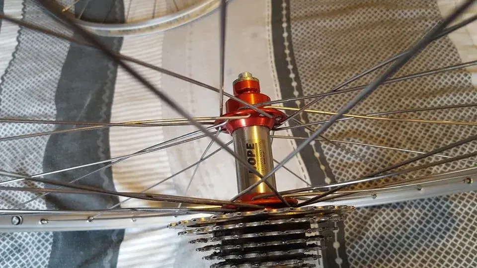 246218435_433210774827273_1903007788551927794_n.jpg