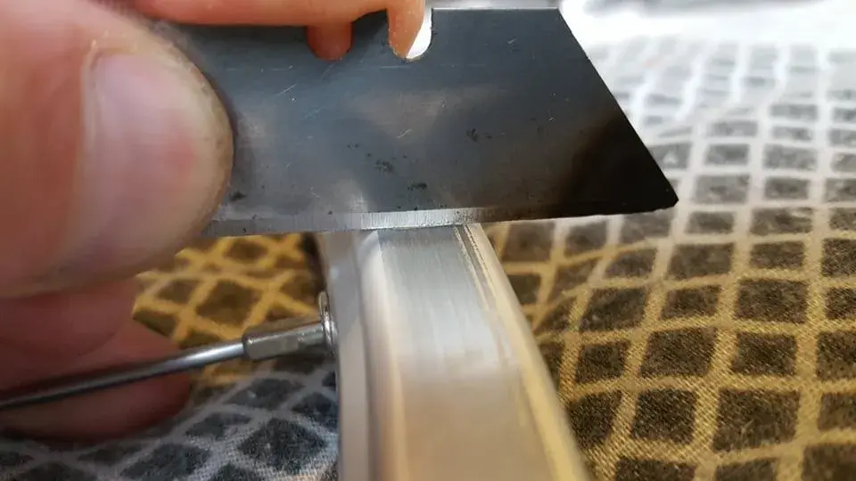 245807977_6979422008750646_168237812553477889_n.jpg