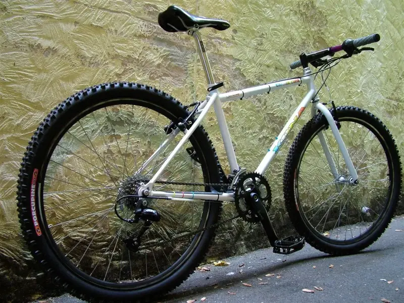 bike (Custom) (Custom).webp