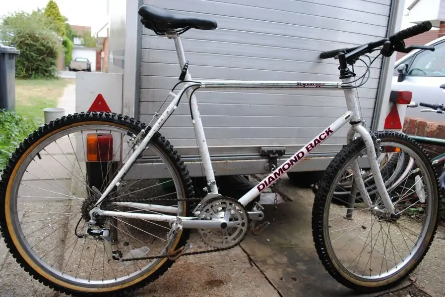 diamondback topanga 001.webp