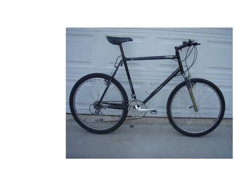 cinelli.webp
